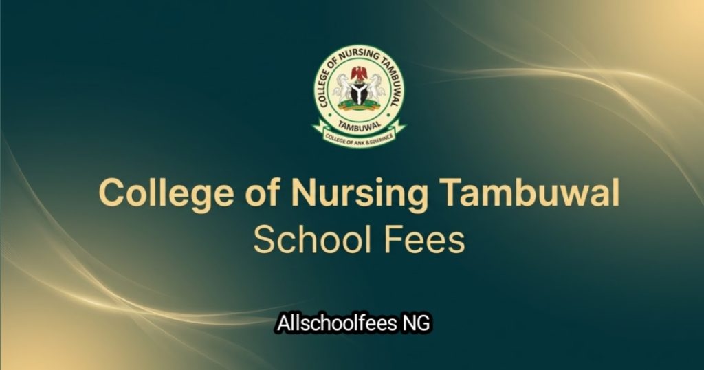 College of Nursing Tambuwal School Fees